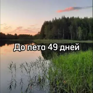 ☀️ До лета 49 дней verano, lago, cuenta atrás, naturaleza, días telegram sticker