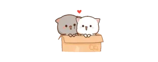 🥰 고양이, 사랑, 귀여운, 만화, 동물, 상자, 카와이 telegram sticker