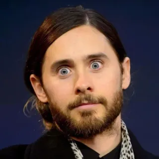 😳 Jared Leto diễn viên, người nổi tiếng, chân dung, đàn ông, kiểu tóc telegram sticker