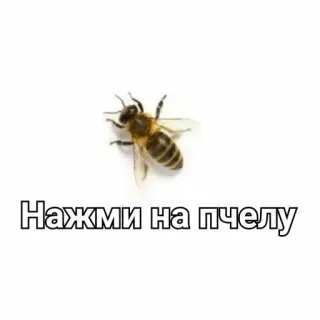 Never gonna give you up 1ч. @memes_everydayy telegram stickers