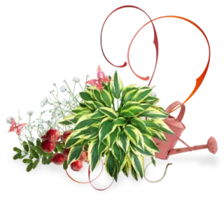 🌸 растение, цветы, лейка, декор, цветочная композиция telegram sticker