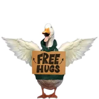 🦆 FREE HUGS утка, объятие, животное, дружелюбный, милый, птица telegram sticker