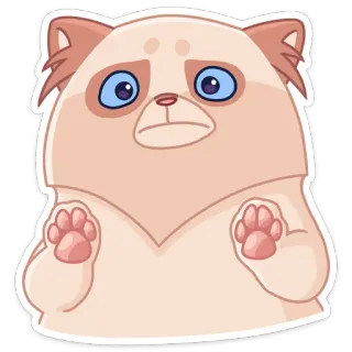 ⛔️ gato, fofo, desenho animado, animal, adesivo telegram sticker