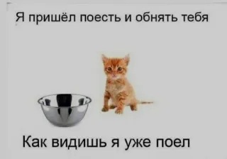 ❤️ Я пришёл поесть и обнять тебя
Как видишь я уже поел 猫, 食べ物, ボウル, かわいい, 動物, 子猫 telegram sticker