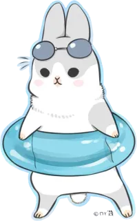 🏊 królik, zajączek, basen, lato, koło do pływania, okulary przeciwsłoneczne, słodki telegram sticker