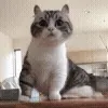 ❓