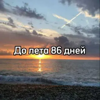 ☀️ До лета 86 дней verano, cuenta atrás, días, playa, mar, naturaleza telegram sticker