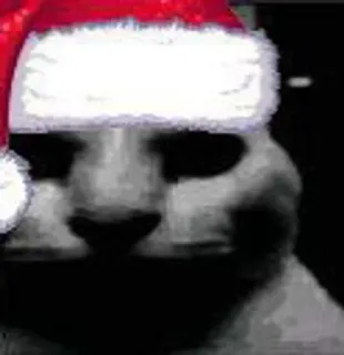 🌟 cat, christmas, santa hat, funny, meme, animal telegram sticker