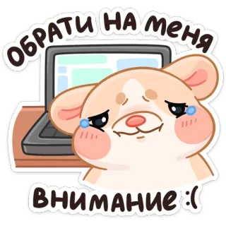😢 Обрати на меня внимание :( hamster, mignon, triste, ordinateur portable, attention telegram sticker