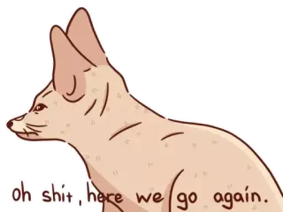 🫡 oh shit , here we go again. fennec fox, animal, meme, oh shit here we go again, funny telegram sticker