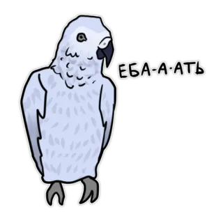 🤬 ЕБА-А-АТЬ Papagei, Vogel, Russisch, Slang, Sticker, Beleidigend whatsapp sticker