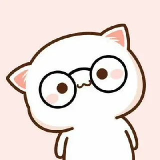 🍓 kucing, imut, kacamata, kartun, hewan whatsapp sticker