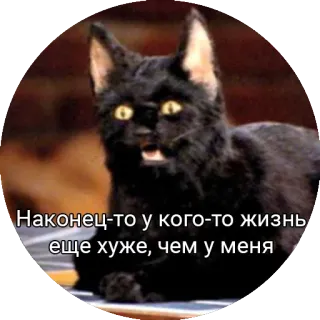 😌 Наконец-то у кого-то жизнь еще хуже, чем у меня 猫, 黒猫, 面白い, ミーム, ロシア, テキスト telegram sticker