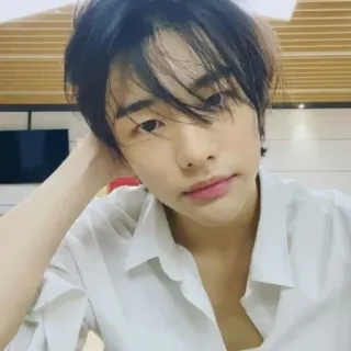 🍫 whatsapp sticker
