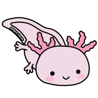 😊 ajolote, salamandra, animal, lindo, rosa whatsapp sticker
