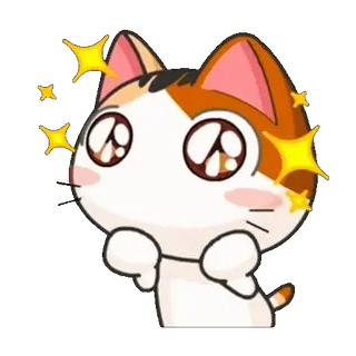 🤩 แมว, น่ารัก, คาวาอิ, เป็นประกาย, สัตว์, การ์ตูน, สัตว์เลี้ยง telegram sticker