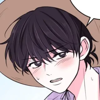 📹 telegram sticker