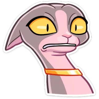 😳 고양이, 만화, 동물, 웃긴, 밈, 표정 telegram sticker