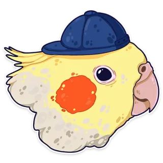 🙁 nimfa, ptak, zwierzę domowe, naklejka, kreskówka, zwierzę, kapelusz, słodki telegram sticker