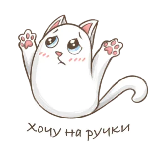 🐱 Хочу на ручки cat, cute, animal, sticker, kawaii, want to be held telegram sticker