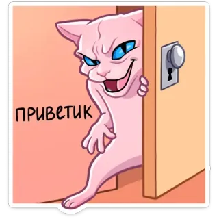 👋 ПРИВЕТИК cat, hello, cute, animal, door telegram sticker