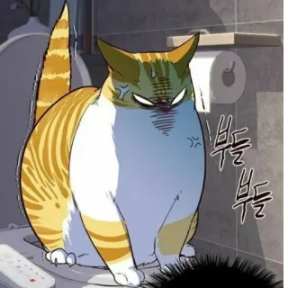 🚽 부들
부들 고양이, 화난, 앉아있는, 화장지, 동물 telegram sticker