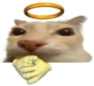 😇 Katze, Tier, Heiligenschein, süß, Meme telegram sticker