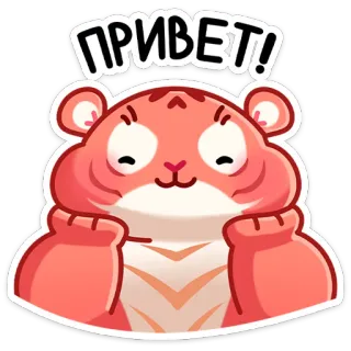 👋 ПРИВЕТ! saudação, tigre, olá, animal, fofo, amigável whatsapp sticker