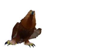 💃 águia, animal, pássaro, predador, vida selvagem whatsapp sticker