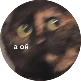 😳 а ой kat, schildpad, russisch, dier, meme whatsapp sticker