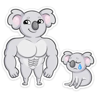 💪 Koala, Cartoon, Traurig, Muskulös, Süß, Tier whatsapp sticker
