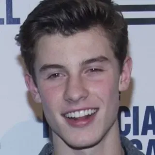 😃 Shawn Mendes person, singer, musician, celebrity, male telegram sticker