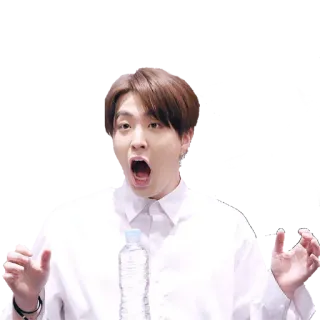 😱 man, shocked, surprised, portrait, expression, kpop telegram sticker