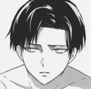 🤫 Levi Ackerman Attack on Titan levi, attack on titan, anime, manga, character, aot, heichou telegram sticker