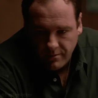 🫣 Tony Soprano The Sopranos telegram sticker