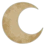 🌙