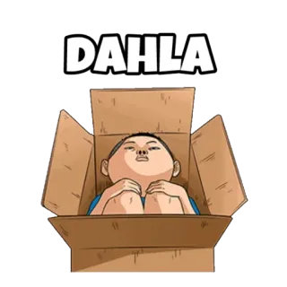 ☹ DAHLA Caixa, Asiático, Criança, Engraçado, Meme whatsapp sticker