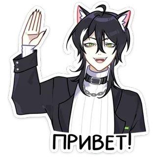 👋 ПРИВЕТ! 고양이, 애니메이션, 인사, 안녕하세요, 손 흔들기, 러시아어 telegram sticker