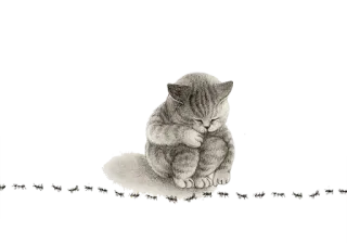 😔 고양이, 개미, 동물, 새끼 고양이 telegram sticker