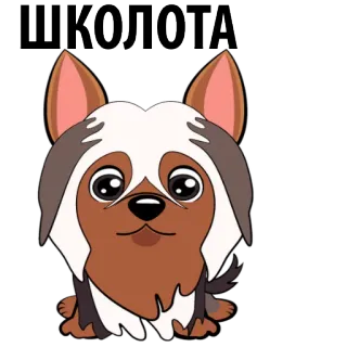 🐶 ШКОЛОТА hond, cartoon, dier, russische tekst whatsapp sticker
