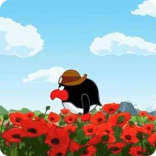 🐧 pinguïn, hoed, klaprozen, bloemen, natuur, cartoon whatsapp sticker