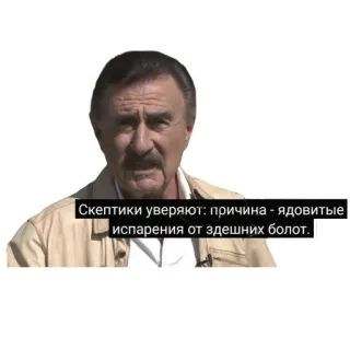 🍄 Скептики уверяют: причина - ядовитые испарения от здешних болот. telegram sticker
