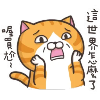 😱 這世界怎麼了 喔買尬 猫, アニメ, ショック, 悲しい, 心配, 困る telegram sticker