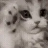 ☺️