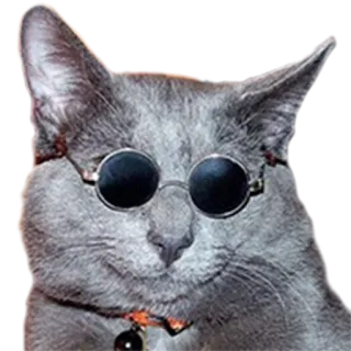 котеки telegram stickers