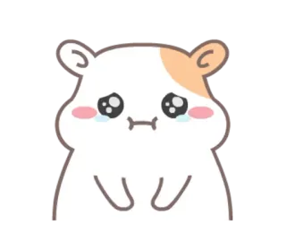 😢 hamster, sad, crying, cute, cartoon, animal, kawaii telegram sticker