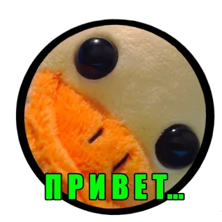 👺 ПРИВЕТ... cześć, kaczka, zabawka, rosyjski, powitanie telegram sticker