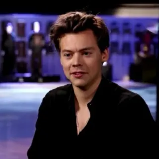 🌿 Harry Styles chanteur, célébrité, pop star, homme, portrait telegram sticker