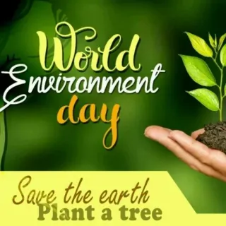 🌱 World Environment day
Save the earth
Plant a tree environment, earth, tree, plant, nature, conservation telegram sticker