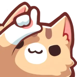 😼 chat, doigt d'honneur, doigt, impoli, geste telegram sticker